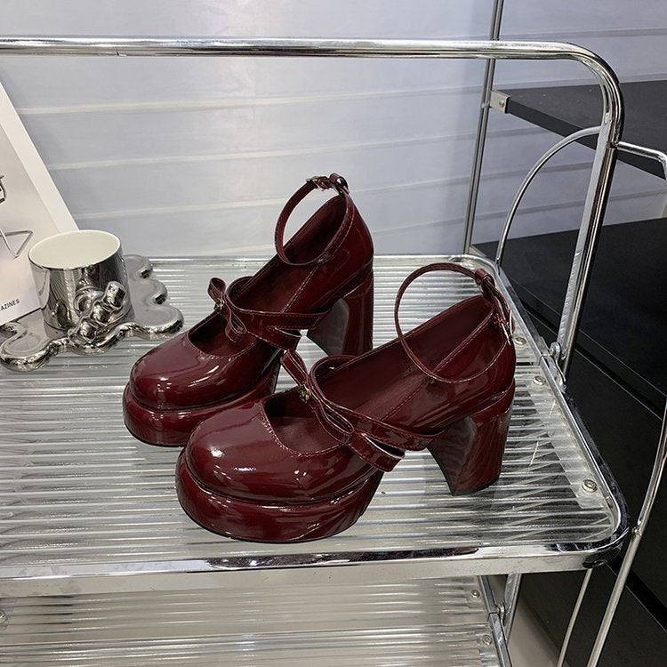 French Style Super High Heel Retro Mary Janes For Women  2026 Spring New Fashion Versatile Platform Block Heel Pumps