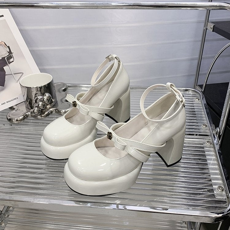 French Style Super High Heel Retro Mary Janes For Women  2026 Spring New Fashion Versatile Platform Block Heel Pumps